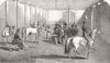 PIMLICO. Queen viewing Arabian horses, riding House 1846 old antique print