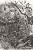LANDSCAPES. Indian section Colonial Expo. jungle 1886 old antique print