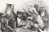 LONDON. Kittens, crystal palace cat show 1872 old antique print picture