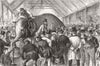 ELEPHANTS. Sale Menagerie. Knocking down elephant 1872 old antique print