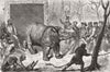 RHINOS. moving hairy rhino travelling den cage 1872 old antique print picture
