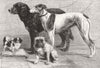 IRELAND. Prize dogs, Dublin dog show 1864 old antique vintage print picture