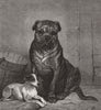 DOGS. Beauty and the beast 1874 old antique vintage print picture