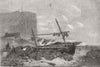 FISHING. British fisheries. Crab & Lobster Shore 1858 old antique print