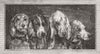 DOGS. Dogs heads 1855 old antique vintage print picture