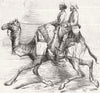 INDIA. Barras Camel Corps, raised in Rajasthan 1859 old antique print picture