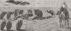 MUMBAI. division-road to front. vultures feast 1879 old antique print picture