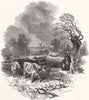 WINDMILLS. Rain Cows Geese Shelter 1847 old antique vintage print picture