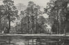 BRUSSELS. View in the Park, Brussels 1882 old antique vintage print picture