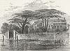 LONDON. Chelsea. Botanical Gdns, 1790 1880 old antique vintage print picture