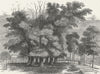 LONDON. Holloway. 7 Sisters, in 1830 1880 old antique vintage print picture