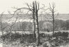 ENFIELD CHASE. In Beech Hill Park. Essex 1888 old antique print picture