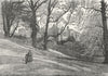 RICHMOND PARK. Pembroke Lodge 1888 old antique vintage print picture