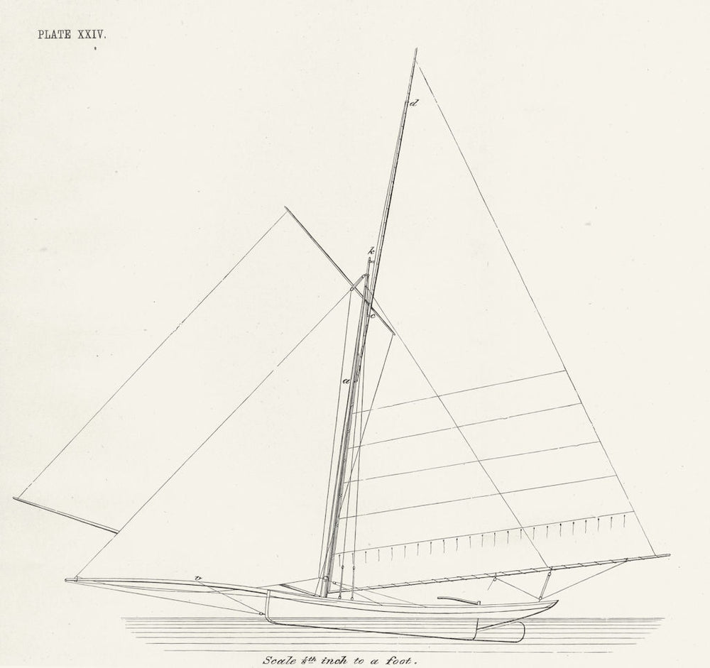 YACHTS. Sail Plan, 'Le Lison' French Centre-board 1891 old antique print
