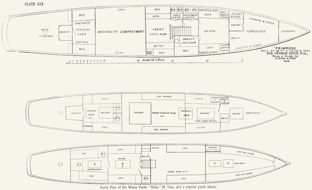 STEAM YACHT CABIN PLAN. 'Primrose' 'Celia', Payne 1891 old antique print