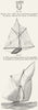 BOATS. sailing boats 1891 old antique vintage print picture