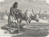 ERITREA. Samhar peasant at a well 1880 old antique vintage print picture