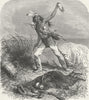 ARIZONA. Grand Canyon. Indians mutilate dead body 1880 old antique print