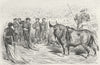 SPAIN. SpainV. The Espada 1880 old antique vintage print picture