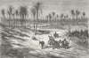 SPAIN. Palm groves of Elche, Alicante 1880 old antique vintage print picture
