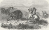 USA. . Indians hunting Bison 1880 old antique vintage print picture