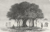MALI. Our Camping-ground, Morebougou 1880 old antique vintage print picture