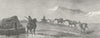 ICELAND. Iceland. A team of Ponies 1880 old antique vintage print picture