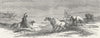 ICELAND. Iceland. Driving Ponies 1880 old antique vintage print picture