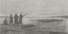 BRAZIL. Fresh-water turtle of Amazons. shooting 1880 old antique print picture