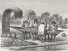 BRAZIL. Indians mashing turtle eggs 1880 old antique vintage print picture