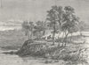 AUSTRALIA. Bush Queensland. Warrego creek 1880 old antique print picture