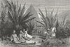 SOUTH AFRICA. Natal & Zululand. native chief, Kanala 1880 old antique print
