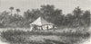 INDIA. Indian Wolf Canis Pallipes. Sportsman's tent 1880 old antique print