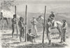 NEW CALEDONIA. Caledonians building house 1880 old antique print picture