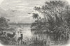 FLORIDA. Creek, tributary to St John's  1880 old antique vintage print picture