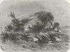 FLORIDA. Floating Island 1880 old antique vintage print picture