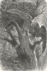 SPAIN. Andalusia. Dangerous Bird-nesting 1880 old antique print picture