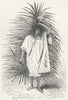MEXICO. From the Tierra Caliente 1880 old antique vintage print picture