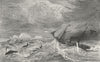 ALASKA. Bering Sea. Midst of Leviathan 1880 old antique vintage print picture