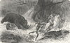 SOUTH AFRICA. Charge of Black Rhinoceros 1880 old antique print picture