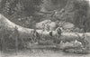BRAZIL. Organ Mountains. fallen monarch 1880 old antique vintage print picture