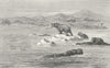 SOUTH AFRICA. Haunt of Sea-Cow 1880 old antique vintage print picture