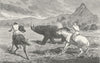SOUTH AFRICA. Shooting Rhinoceros 1880 old antique vintage print picture
