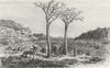 SOUTH AFRICA. Returning from Trading Trip 1880 old antique print picture
