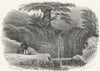 SUSSEX. Dripping Well, Fairlight. Newman 1860 old antique print picture