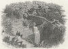 SUSSEX. Fairlight glen, Hastings. Rock 1860 old antique vintage print picture