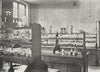 WORCESTER. Victoria Inst, Chemistry Science School c1900 old antique print