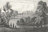 SHROPS. Abednego Matthews. Mathews. West Cows 1830 old antique print picture
