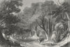WARCS. Forest of Arden. Sargent Deer 1846 old antique vintage print picture