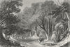 WARCS. Forest of Arden. Sargent Deer 1854 old antique vintage print picture